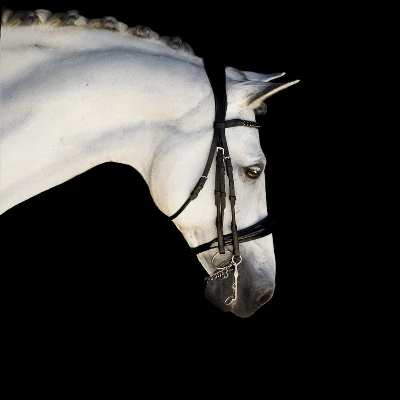 Audrey' luxury leather bridle - (double)
