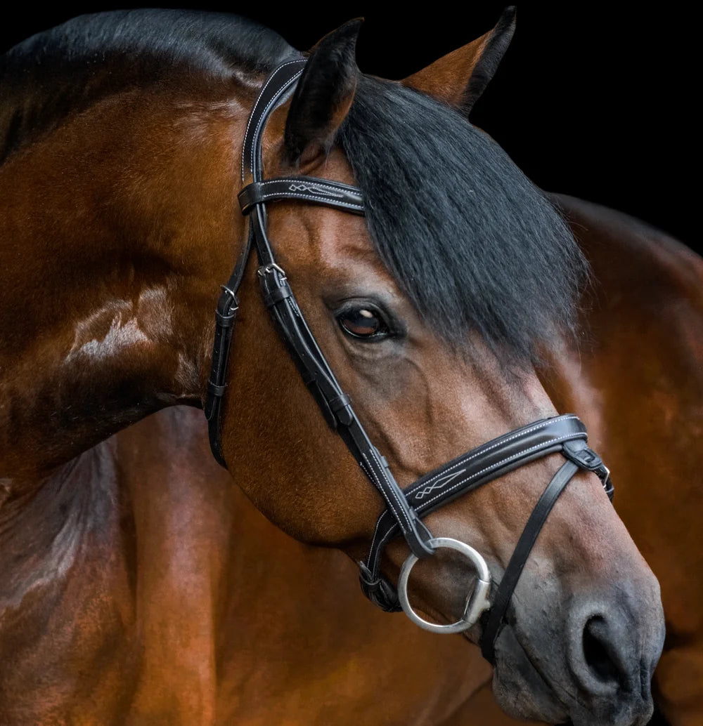 Milan' leather bridle (convertible)