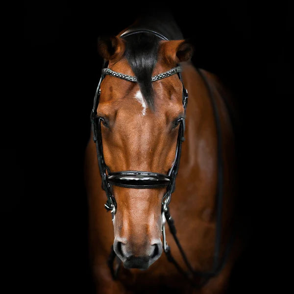 Audrey' luxury leather bridle - (double)
