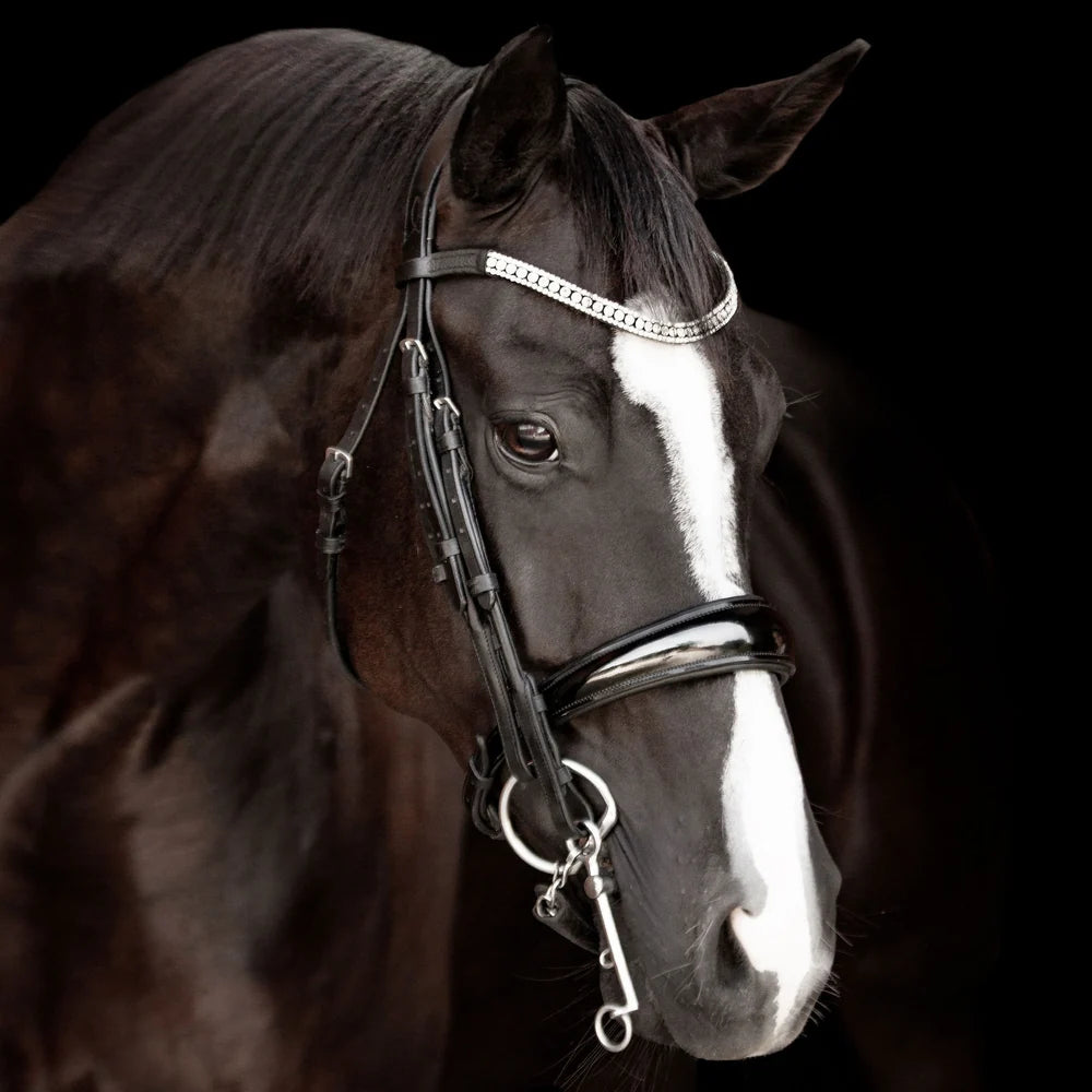 Amie' luxury leather bridle - (double)