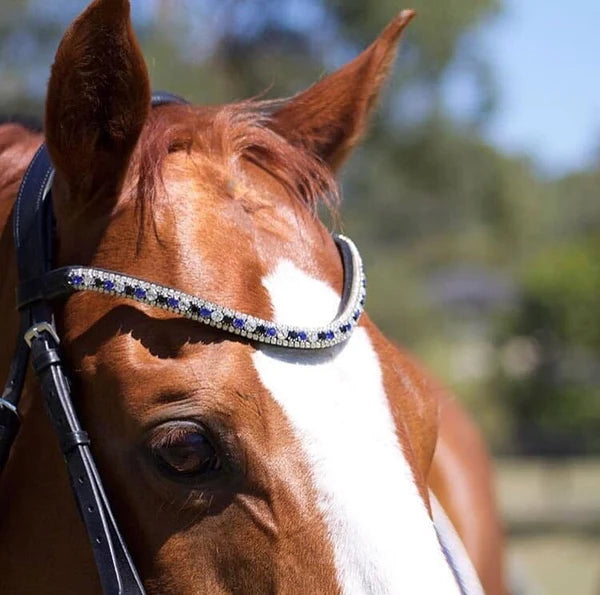 Anastasia' leather bridle (convertible)