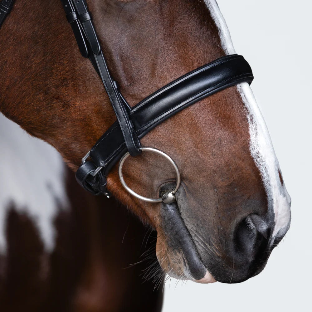 Stella Bridle