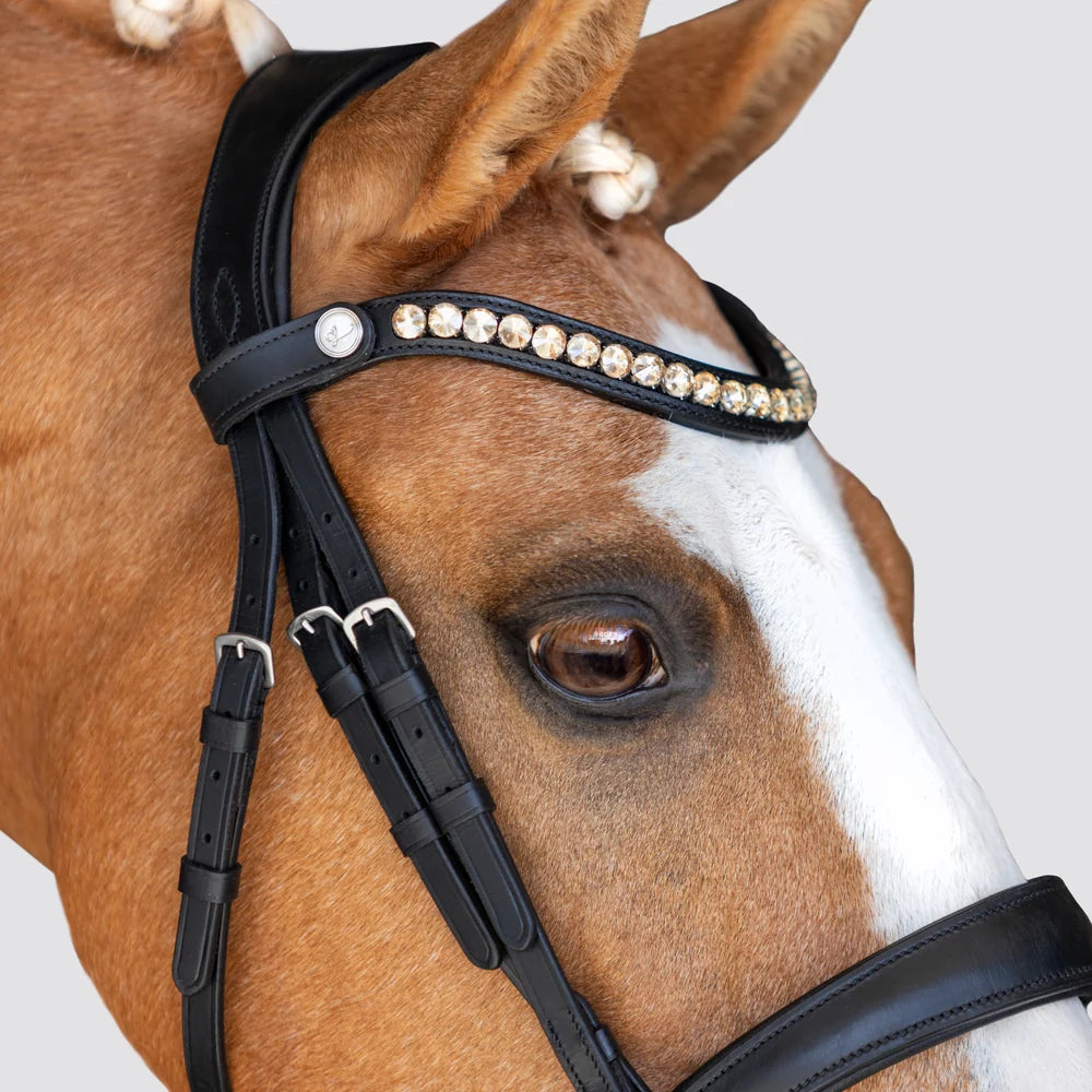 Athens' leather bridle (snaffle)