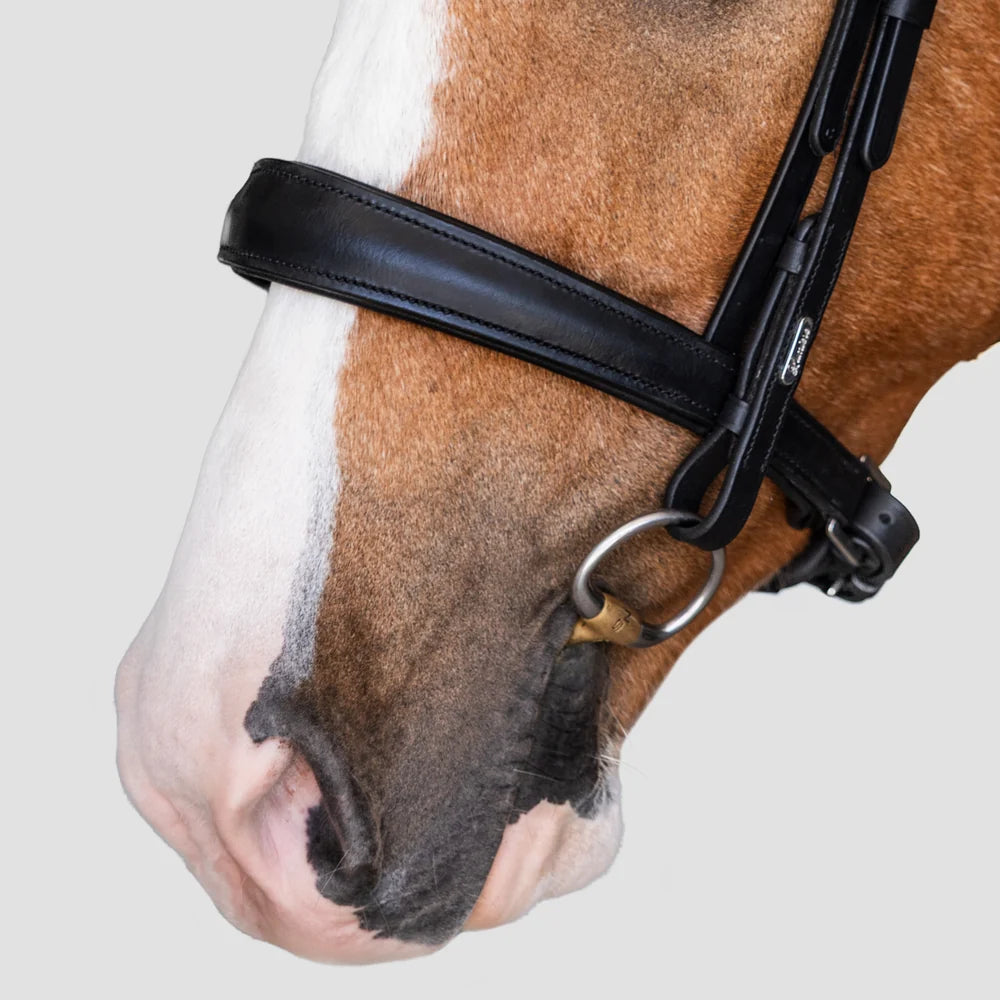 Athens' leather bridle (snaffle)