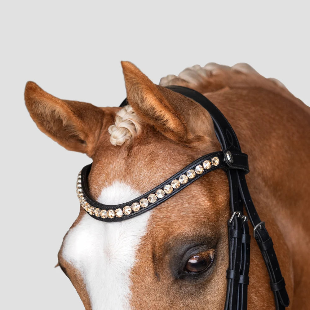 Athens' leather bridle (snaffle)