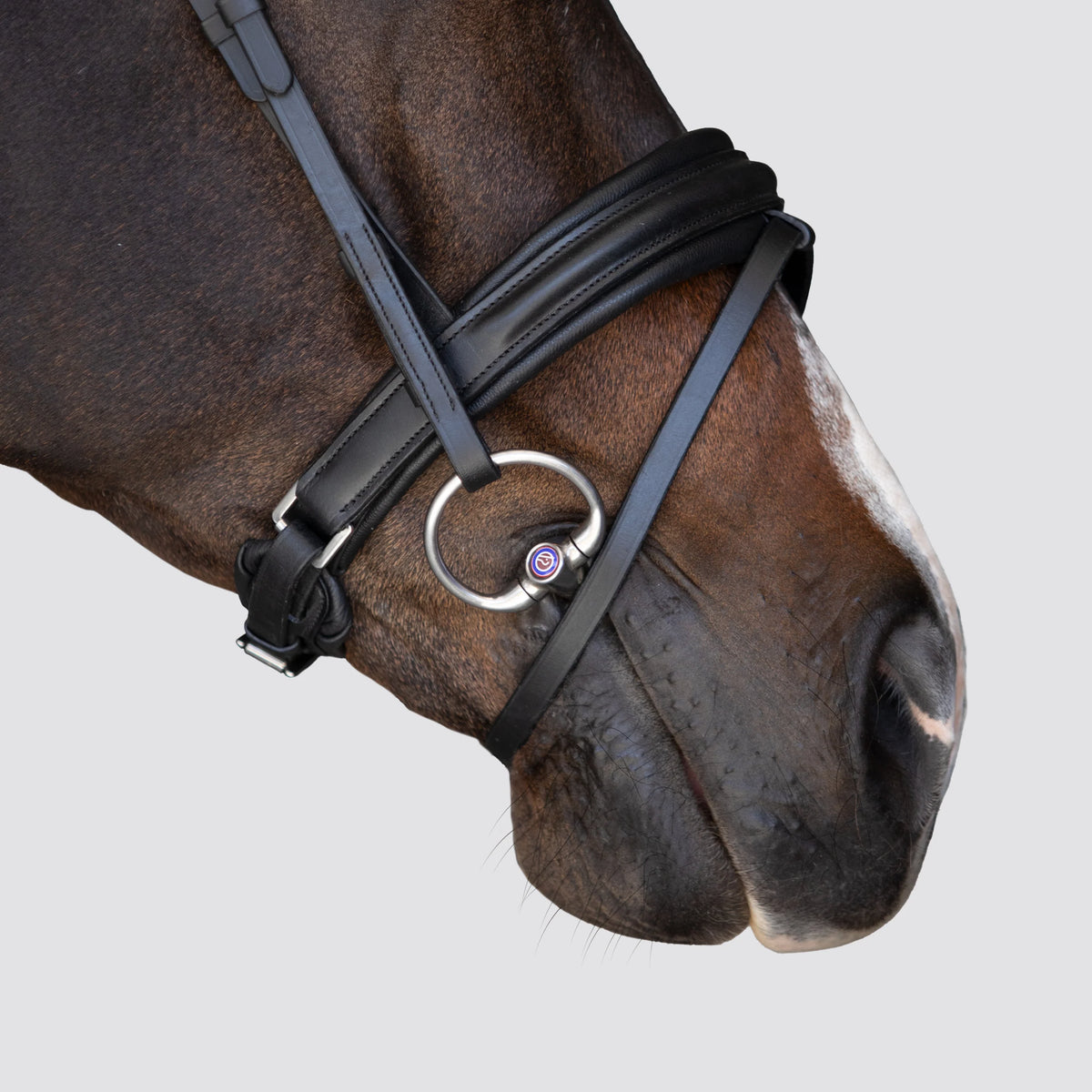 Melodie' classic bridle