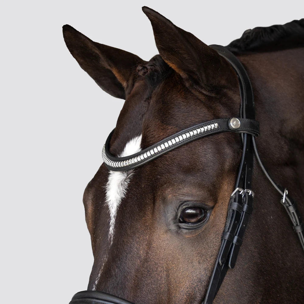 Melodie' classic bridle