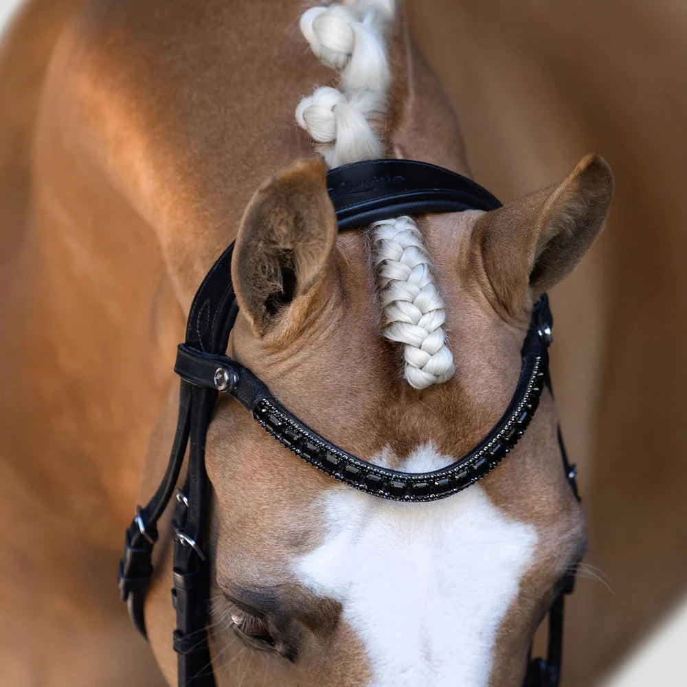 Audrey' Rolled Leather Bridle (Hanoverian)