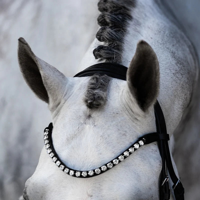 Abigail' Leather Bridle (Convertible)