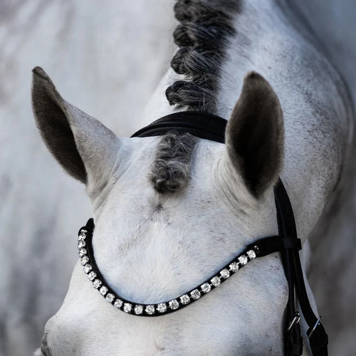 Abigail' Leather Bridle (Convertible)