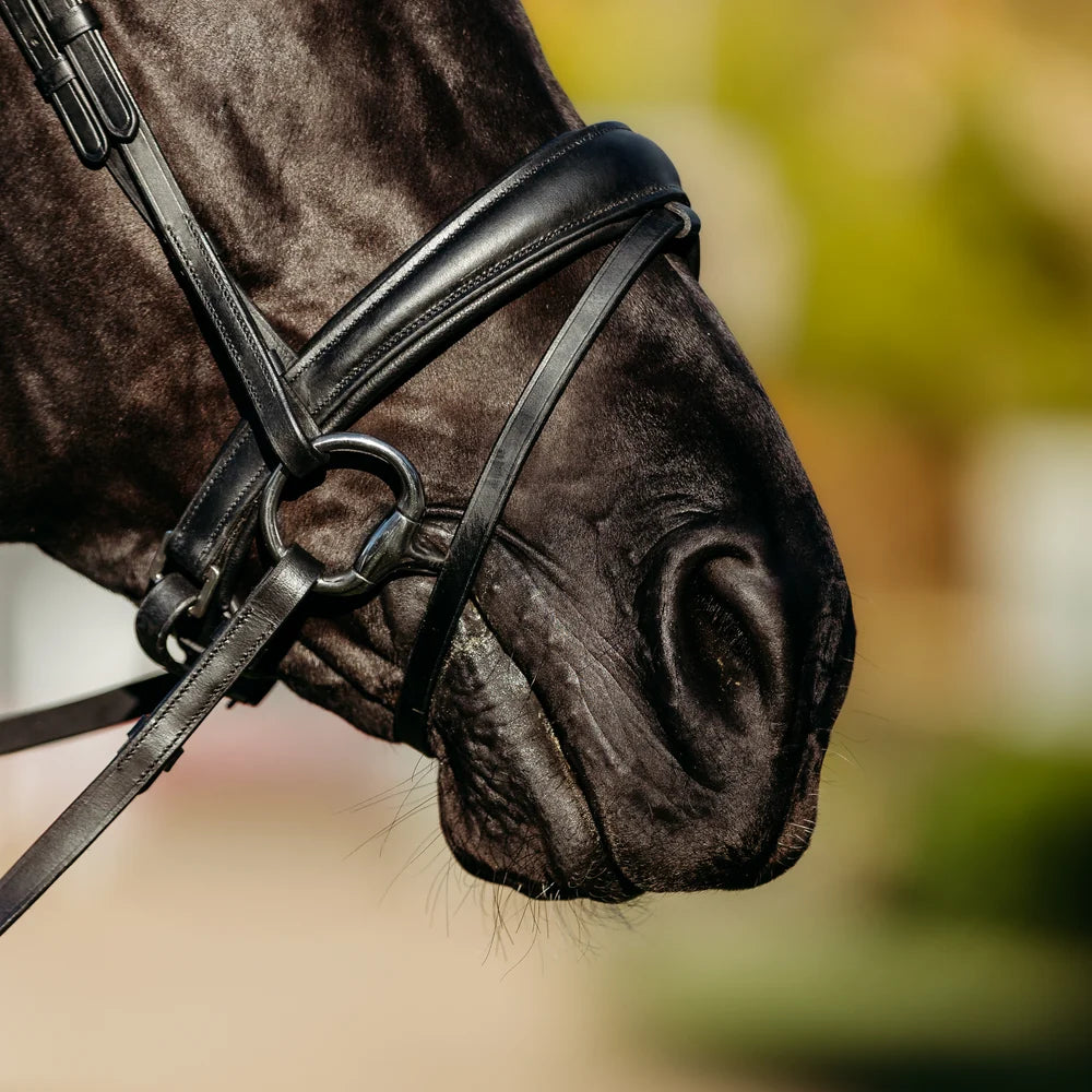 Abigail' Leather Bridle (Convertible)