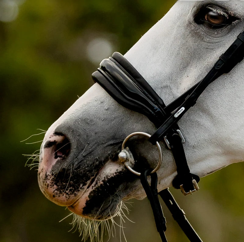 Ariana' bridle