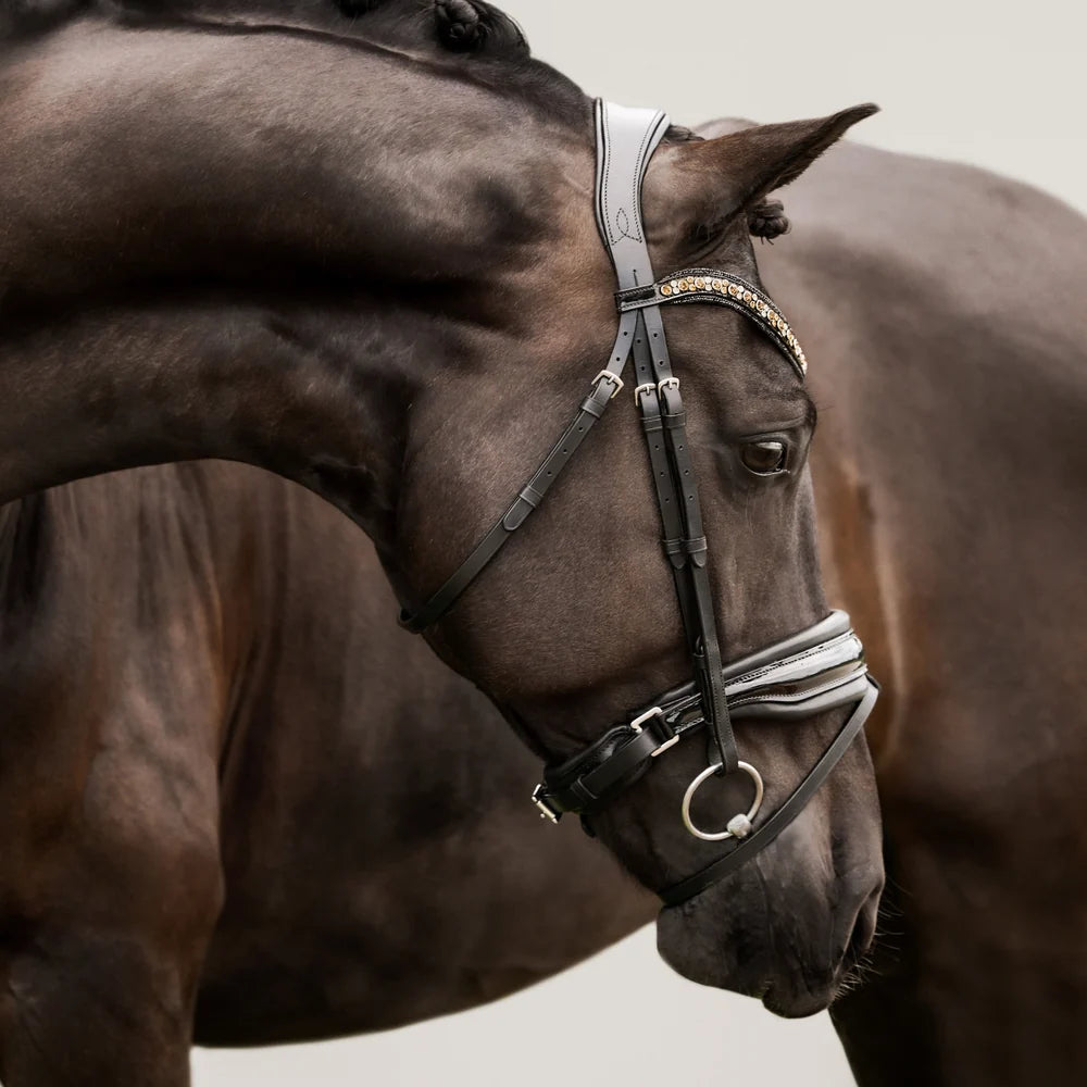 Ariana' bridle