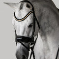 Ariana' bridle