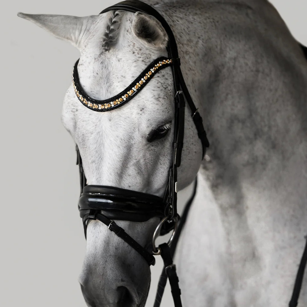 Ariana' bridle