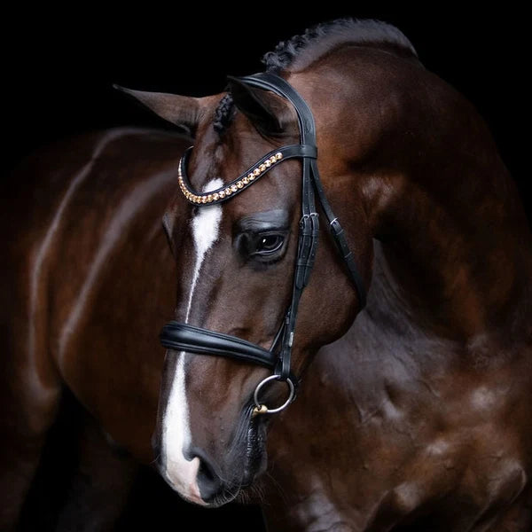 Athens' leather bridle (snaffle)