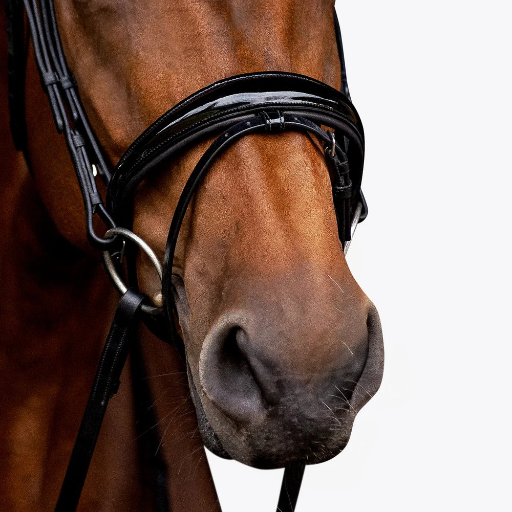 Aurelie' Flat Leather Bridle