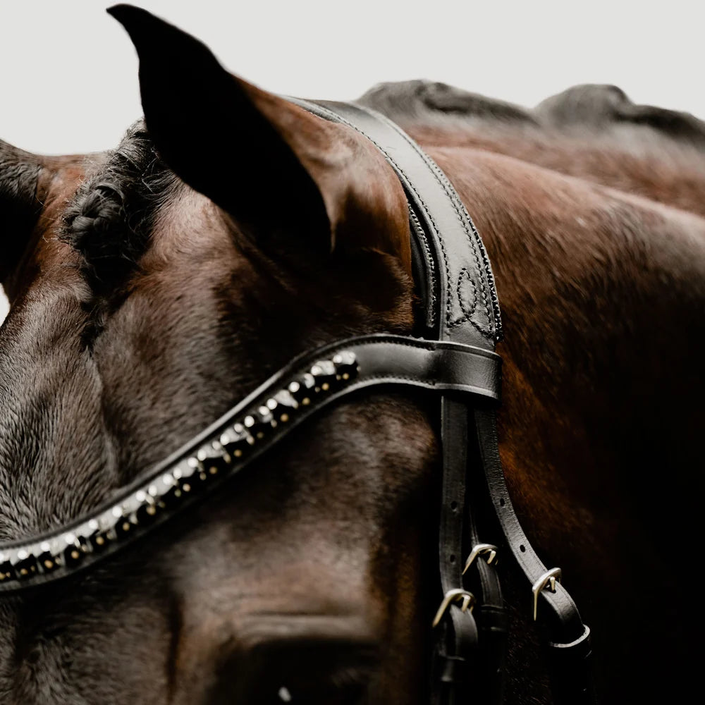 Arcadia' Luxury Leather Bridle