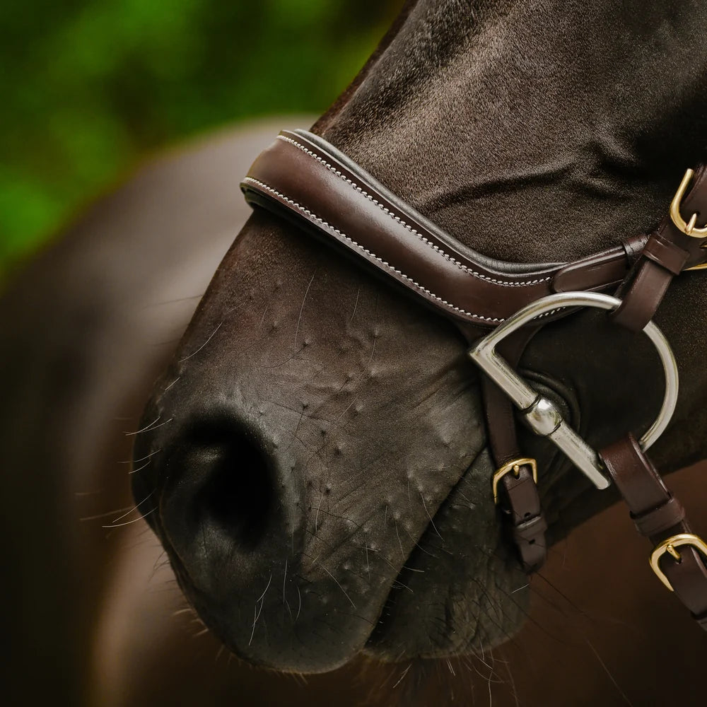 Dallas' leather bridle