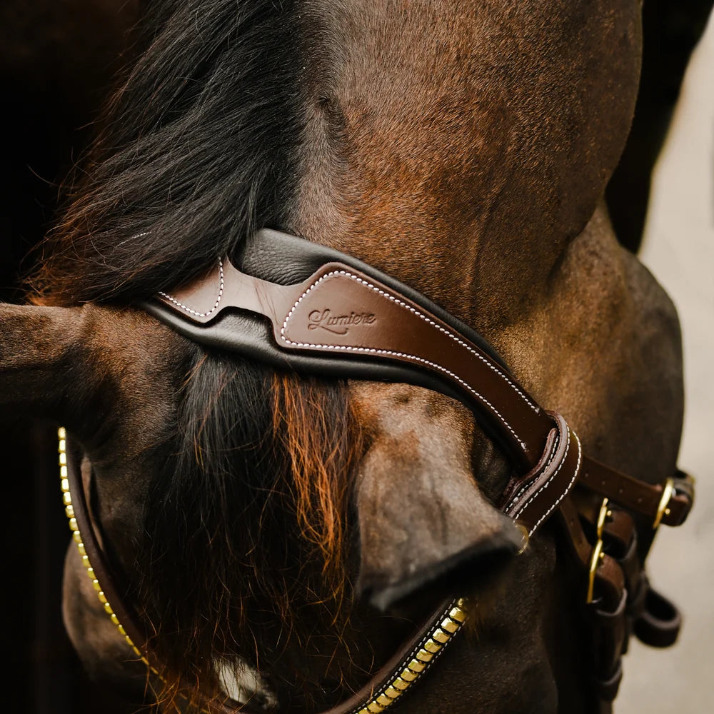 Dallas' leather bridle