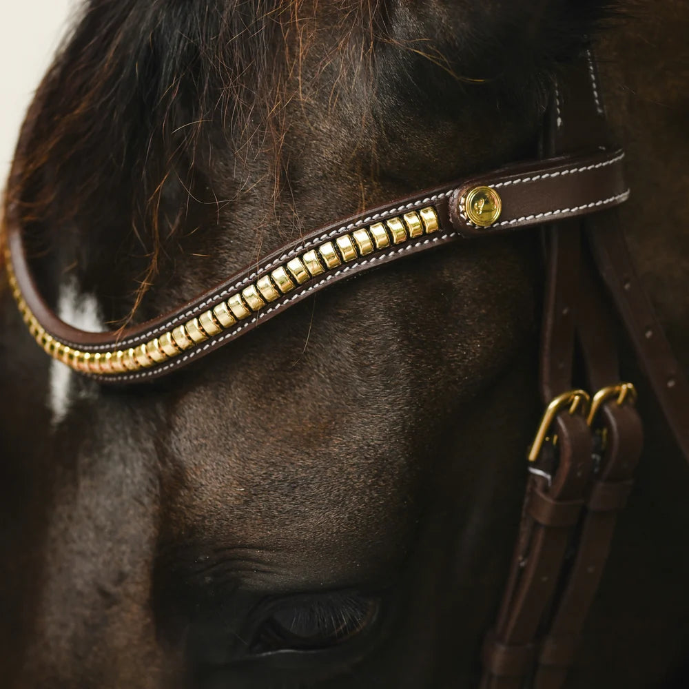 Dallas' leather bridle