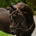 Dallas' leather bridle