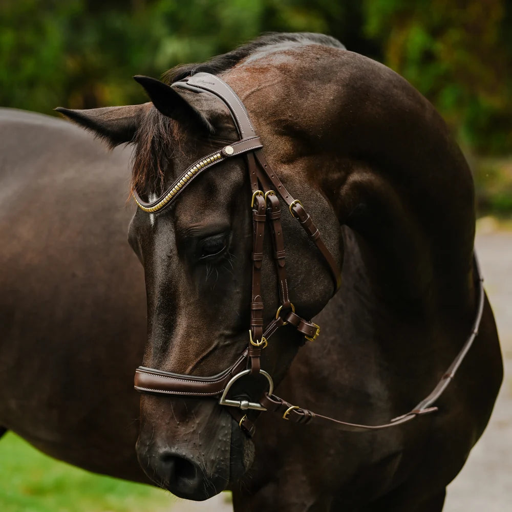 Dallas' leather bridle