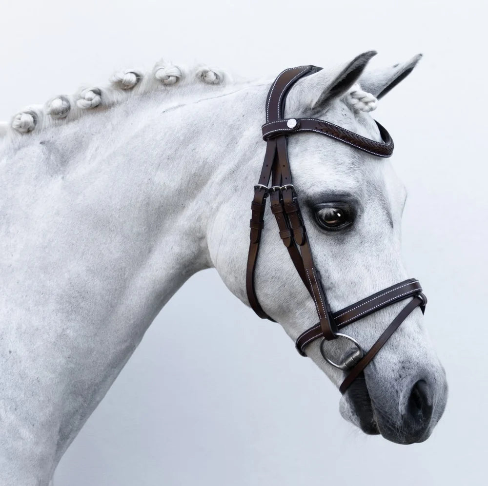 Delaney' leather bridle (Lumi Pony)