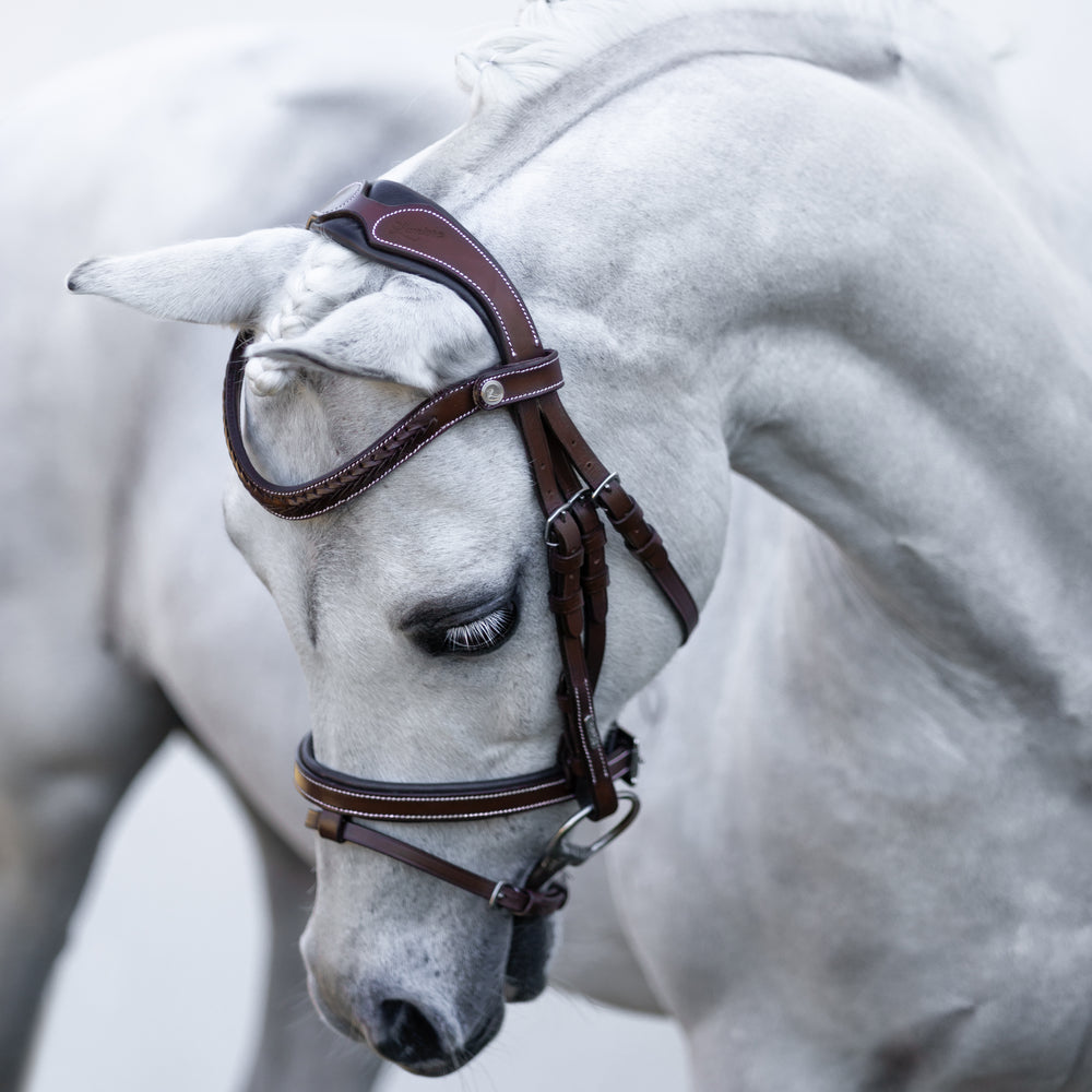 Delaney' leather bridle (Lumi Pony)