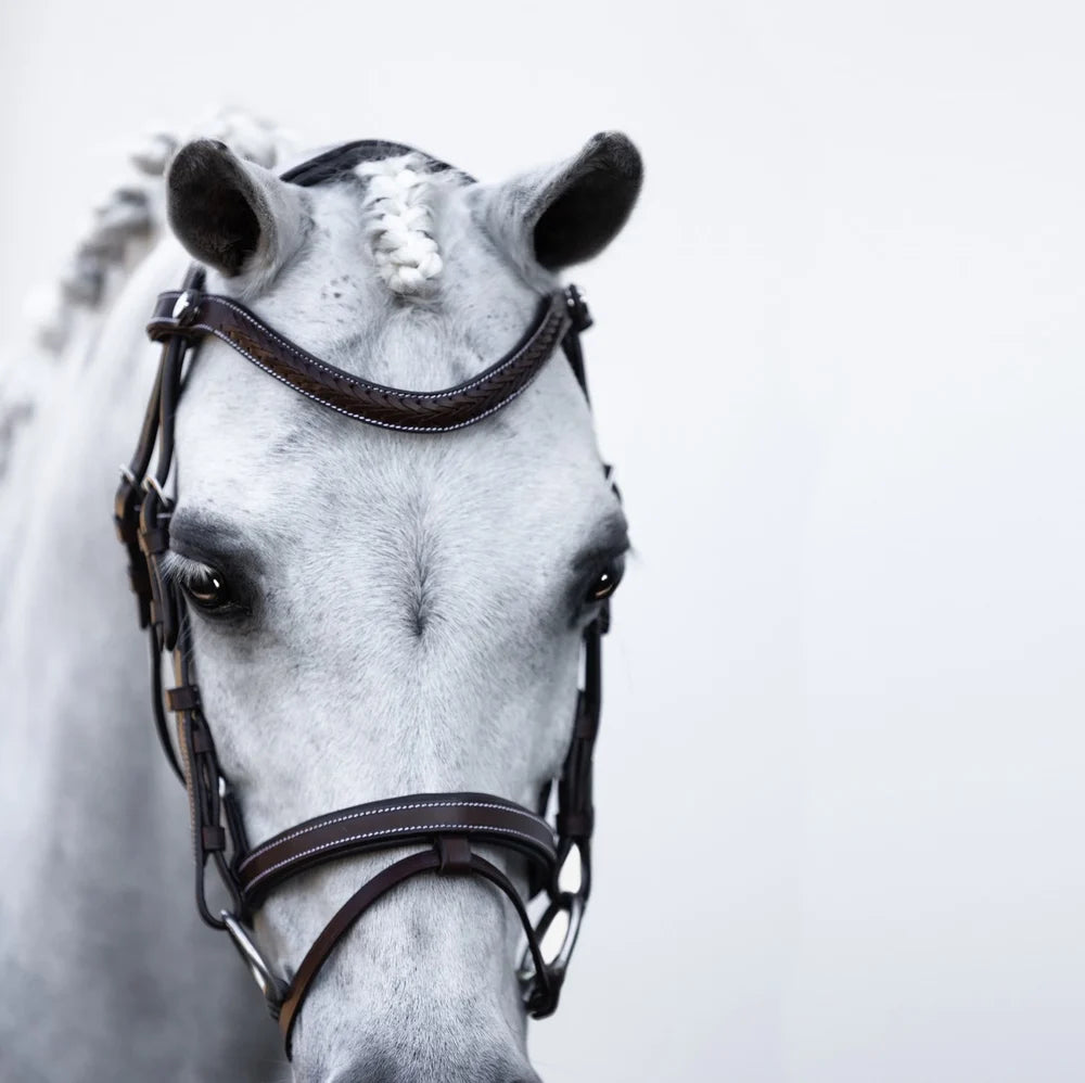 Delaney' leather bridle (Lumi Pony)