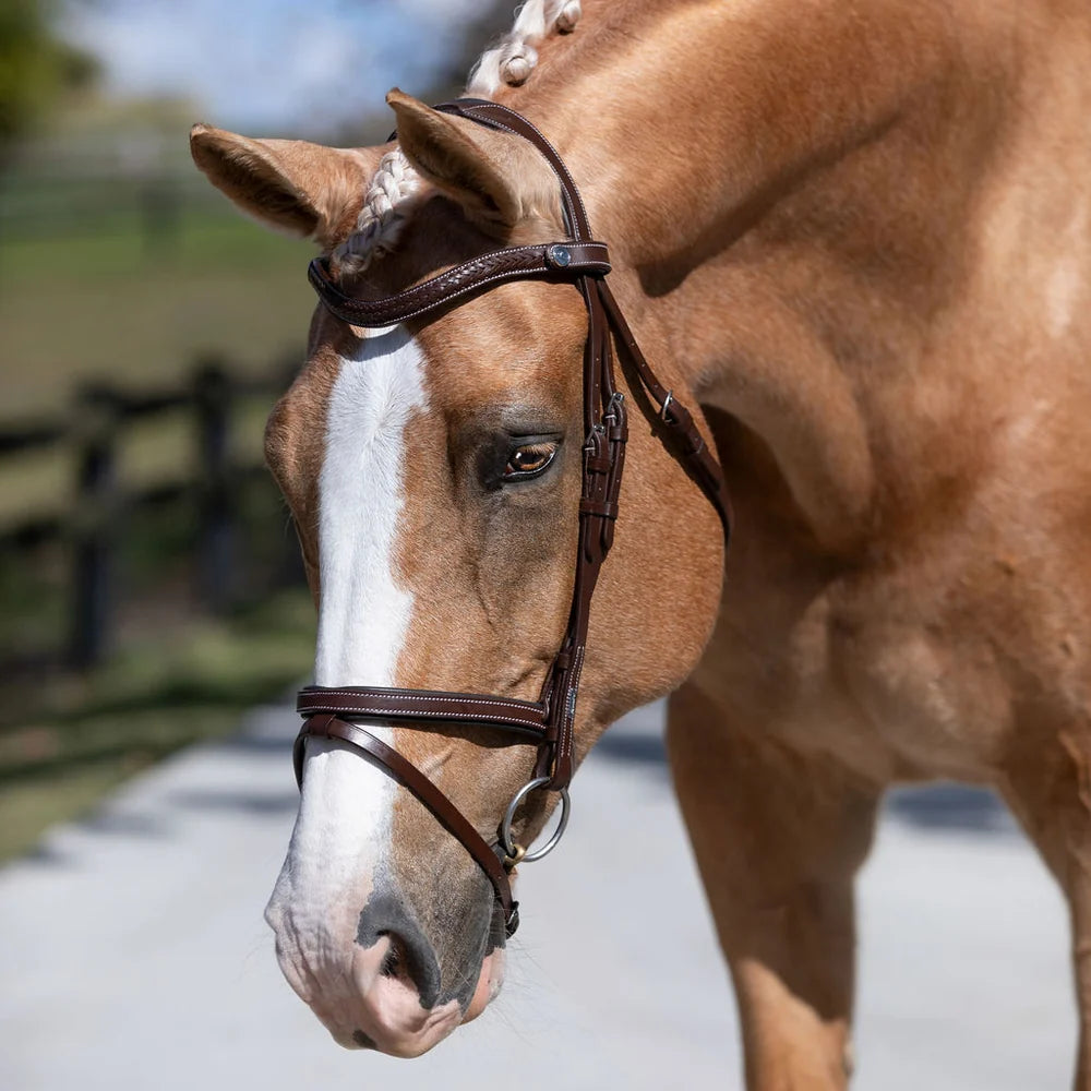 Delaney' leather bridle