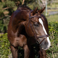 Delaney' leather bridle