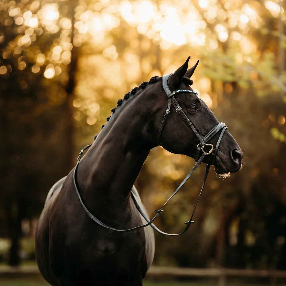 Demi' leather bridle