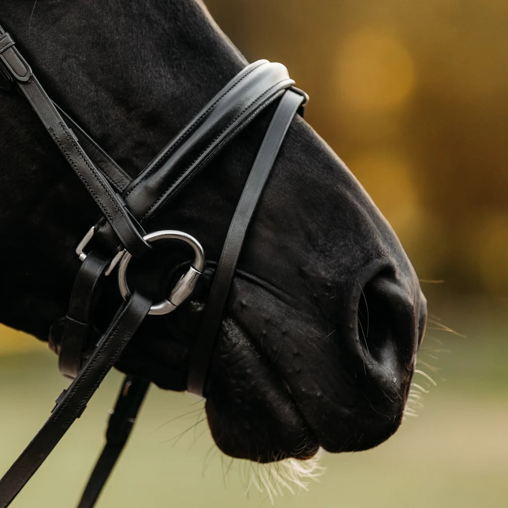Demi' leather bridle