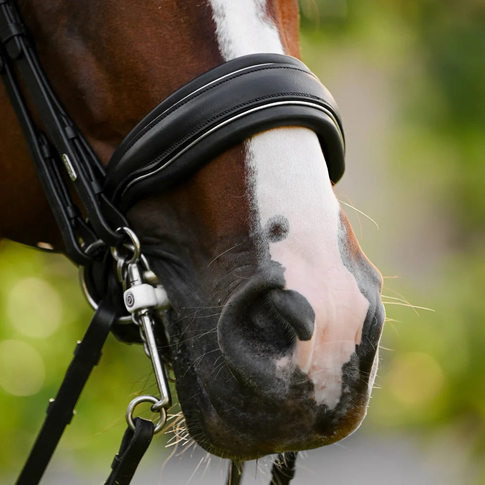 Diva' leather bridle (double)