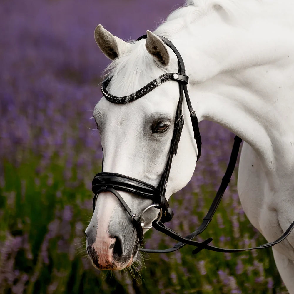 Arcadia' Luxury Leather Bridle