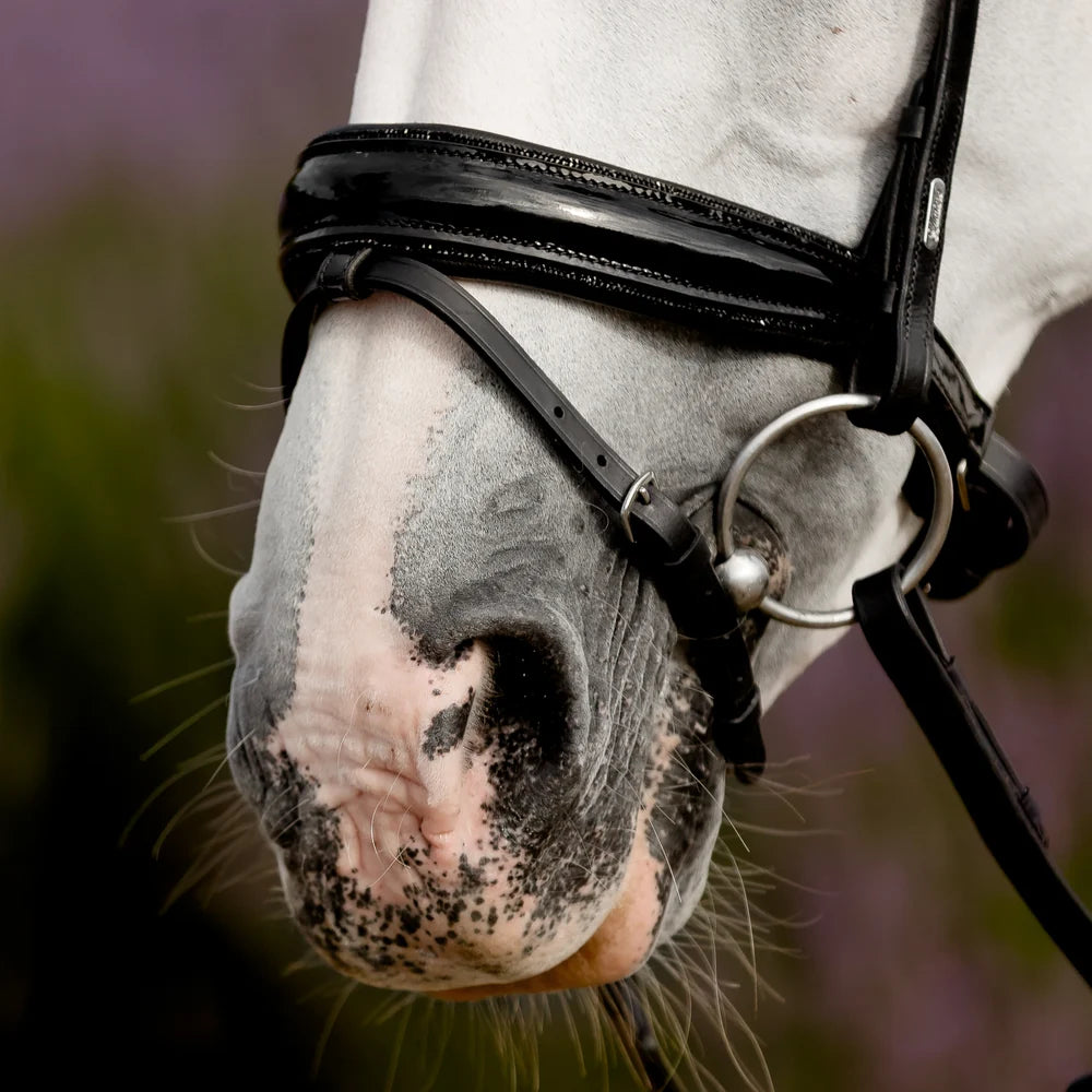 Arcadia' Luxury Leather Bridle