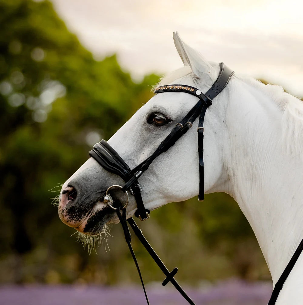Ariana' bridle