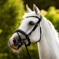 Audrey' Rolled Leather Bridle (Hanoverian)