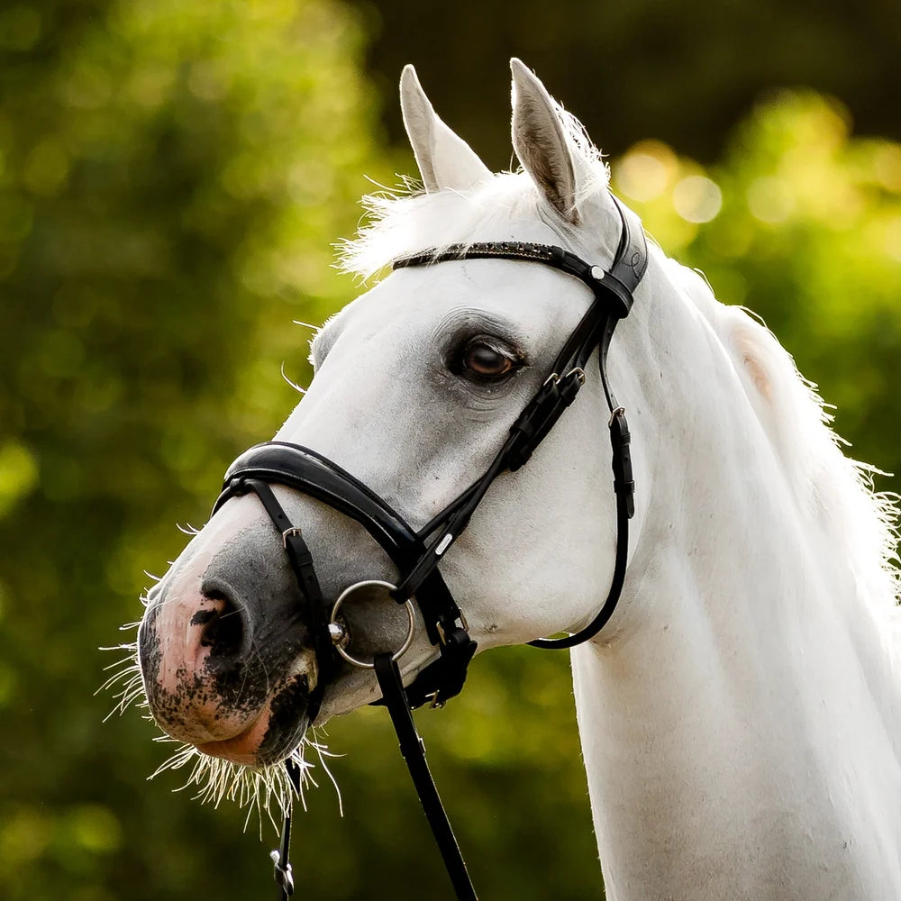 Audrey' Rolled Leather Bridle (Hanoverian)