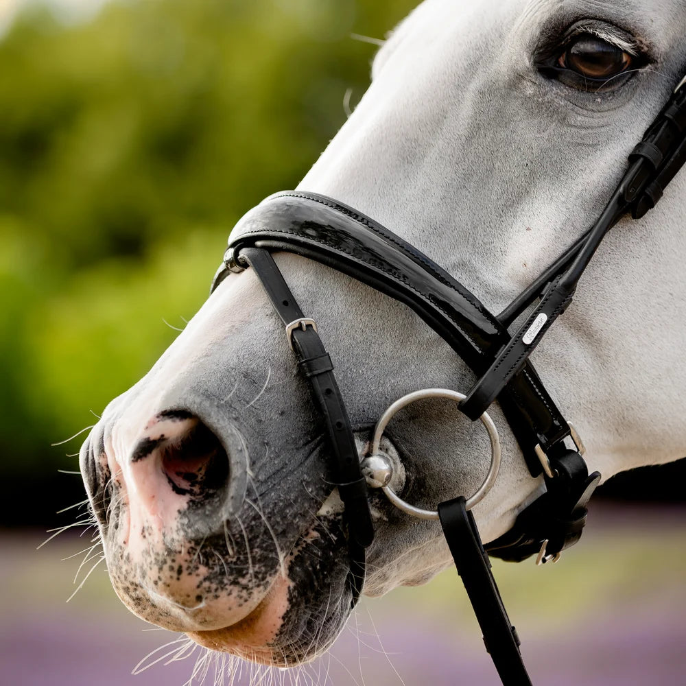 Audrey' Rolled Leather Bridle (Hanoverian)