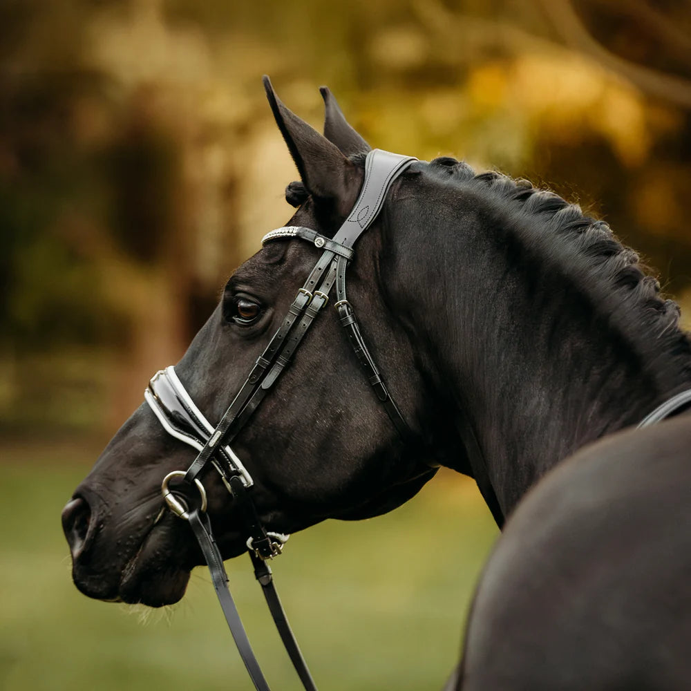 Adeline' Leather Bridle (Cavesson)