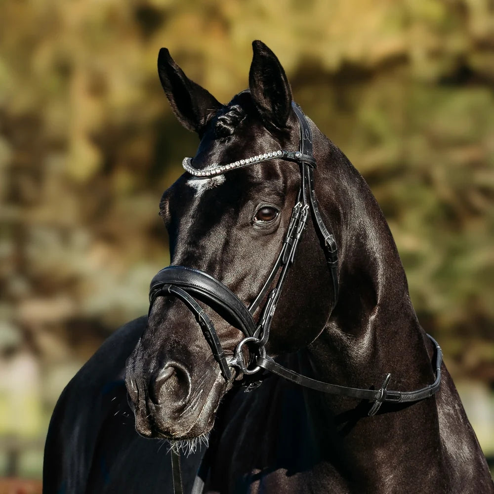 Abigail' Leather Bridle (Convertible)