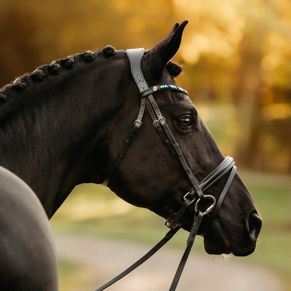 Demi' leather bridle