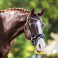 Anastasia' leather bridle (convertible)