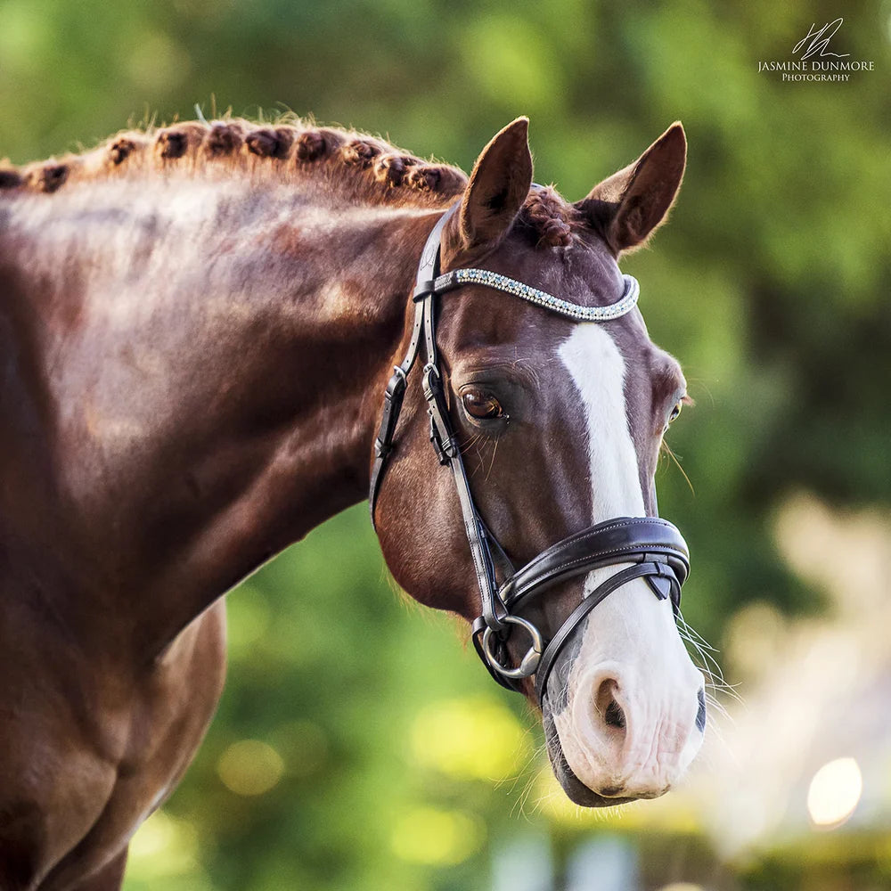 Anastasia' leather bridle (convertible)
