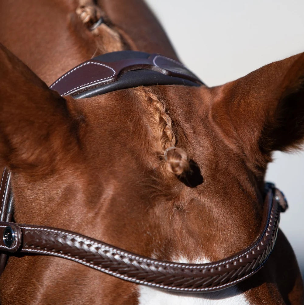 Delaney' leather bridle