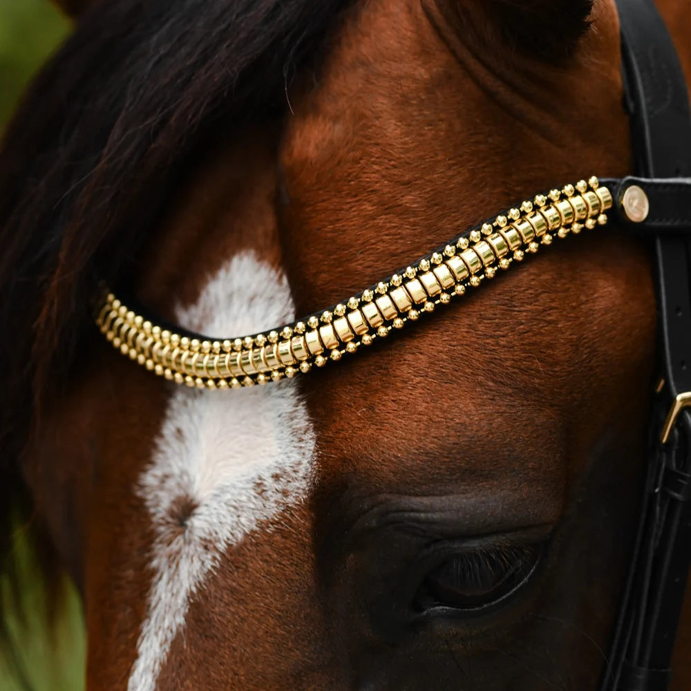 Delta' bridle (double)