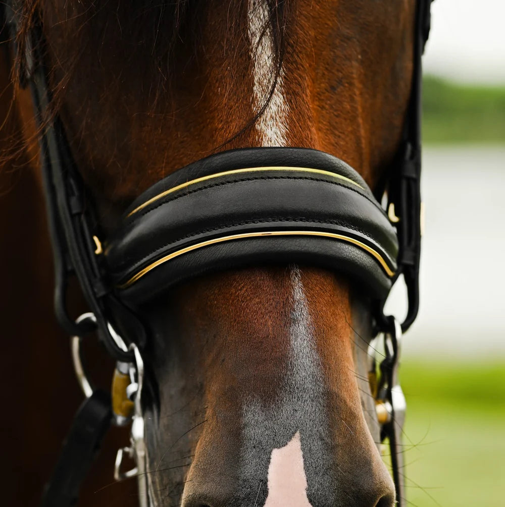 Delta' bridle (double)