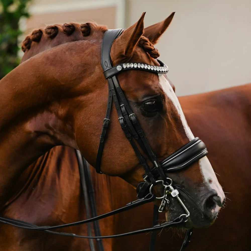 Diva' leather bridle (double)